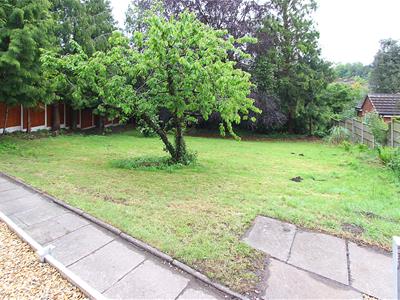 Picture 11